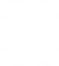 brain-200x222opti